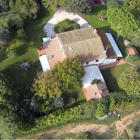 Relais Felciaino B&B Bolgheri Quarto foto